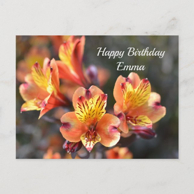 Cartão Postal Flores de Lírio Peruanos no RHS Garden Wisley (Frente)