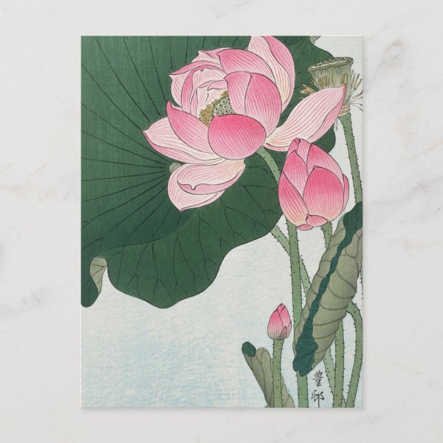 Cartão Postal Flores de Lotus Blooming Painting de Ohara Koson (Frente)