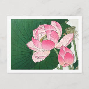 Cartão Postal Flores de lótus em flor - Ohara Koson - ampliado