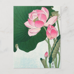 Cartão Postal Flores de lótus florescentes - Ohara Koson - Vint