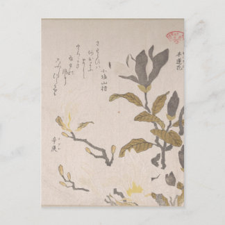 Cartão Postal Flores de Magnolia - Kubo Shunman (Japonês)