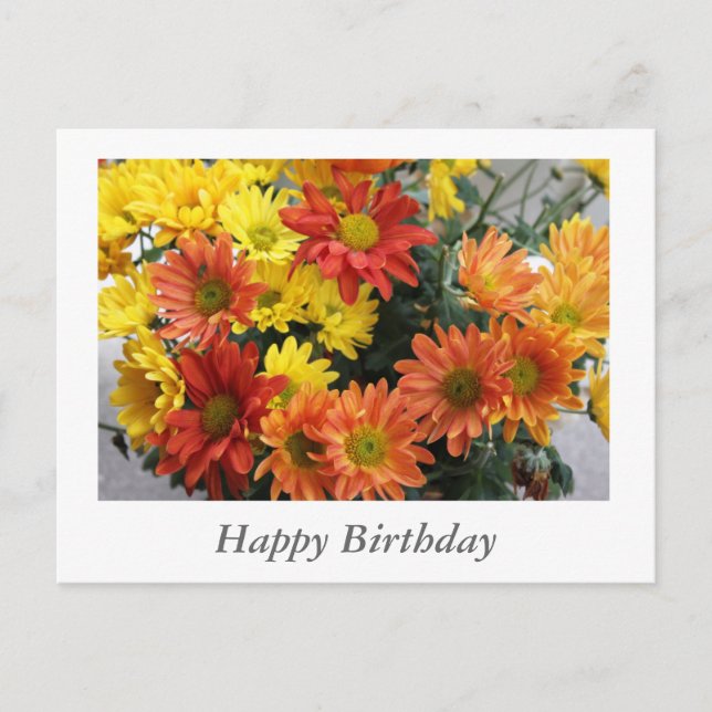 Cartão Postal Flores de margarida vermelhas, amarelas e laranjas (Frente)