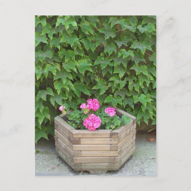 Cartão Postal Flores de Monet (Frente)