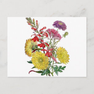 Cartão Postal Flores de outono de safra