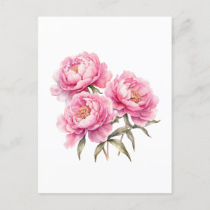 Cartão Postal Flores de Peônia Rosa em Aquarela