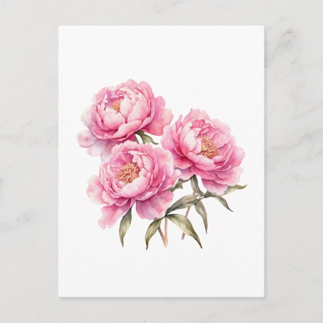 Cartão Postal Flores de Peônia Rosa em Aquarela (Frente)