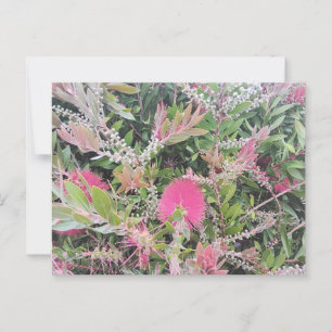 Cartão Postal Flores de Pincel de Garrafa Rosa na Visão do Jardi