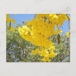 Cartão Postal Flores de Porto Rico