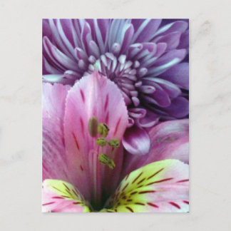 Cartão Postal Flores de primavera