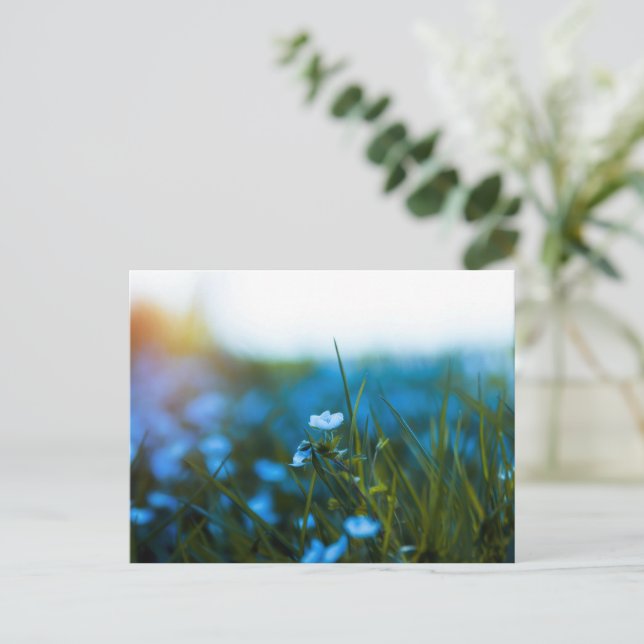 Cartão Postal Flores de primavera no campo (Em pé/Frente)