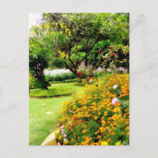 Cartão Postal Flores de primavera no Funchal, Madeira (Portugal)