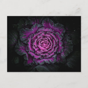 Cartão Postal Flores De Quintal Sem Versão De Cor 99