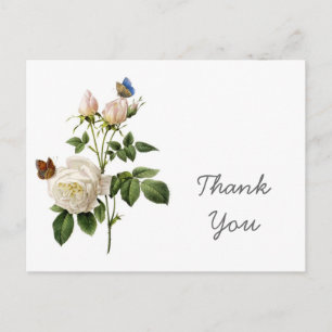Cartão Postal Flores de rosa branca vintage obrigado