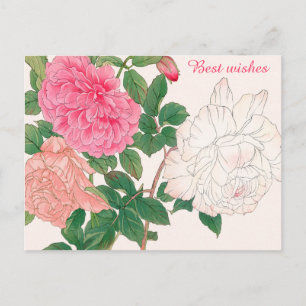 Cartão Postal Flores de Rosa Rosa e Branca Folhas Verdes Com os
