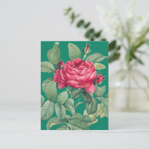 Cartão Postal Flores de Rosa Vermelha com Folhas Verdes OBRIGADO