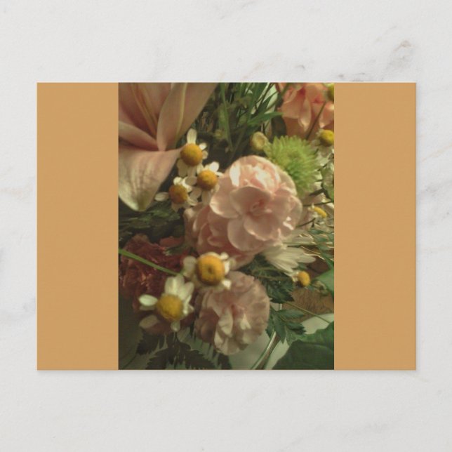 Cartão Postal Flores de sol do rico (Frente)