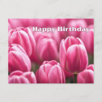 Flores de Tulipa Rosa Vibrante de Aniversário