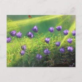Cartão Postal Flores de Verão