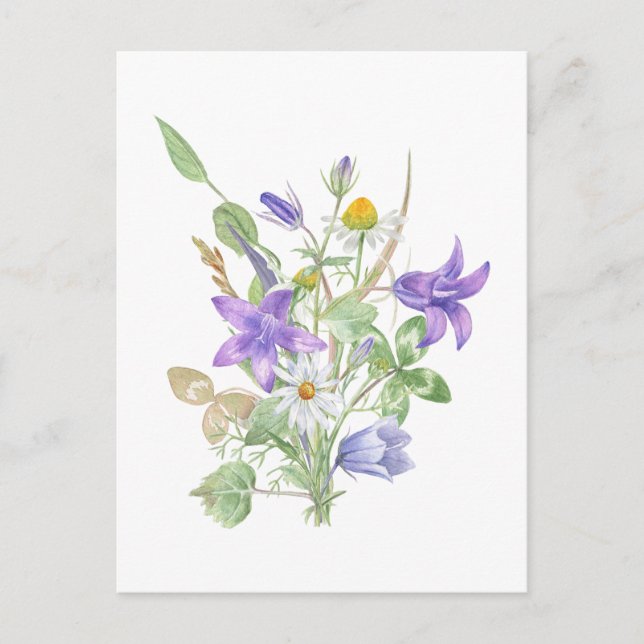 Cartão Postal Flores de Verão em Aquarela (Frente)
