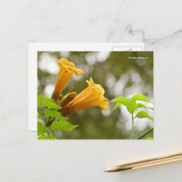 Cartão Postal Flores de Vinha Amarelo Elegante Bokeh