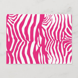 Cartão Postal Flores de Zebra Rosa