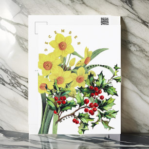 Cartão Postal Flores do Mês de Dezembro Narciso & Azevinho