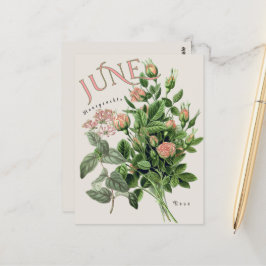 Cartão Postal Flores do Mês de Junho Honeysuckle Rosa Bege