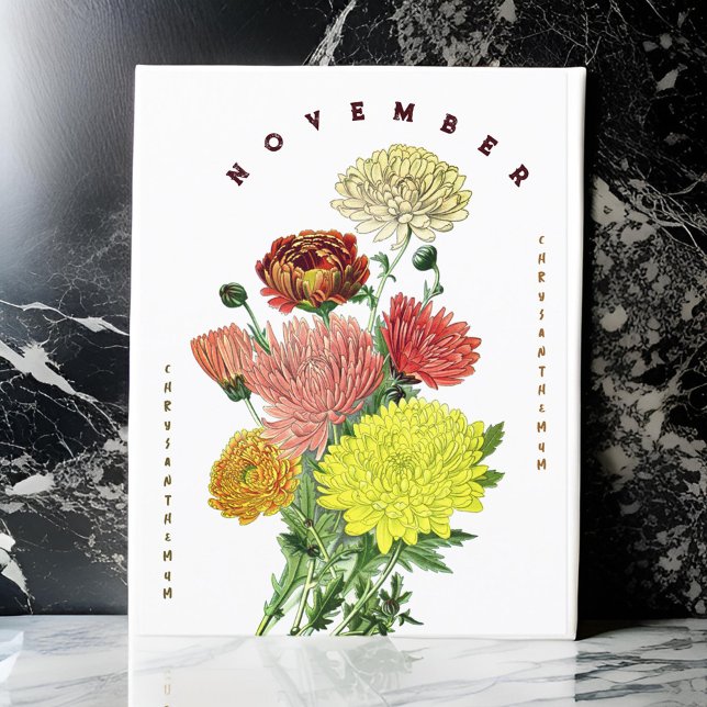 Cartão Postal Flores do Mês Numerário Chrysanthemum (Criador carregado)