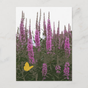 Cartão Postal Flores e borboletas