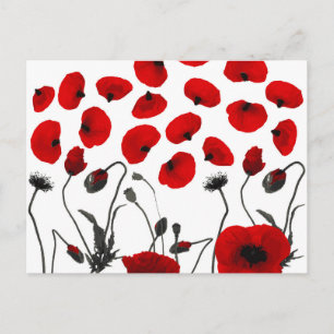 Cartão Postal Flores e Pétalas Negras e Vermelhas Modernas