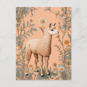 Cartão Postal Flores Elegantes Lama e Daisy em Pêssego