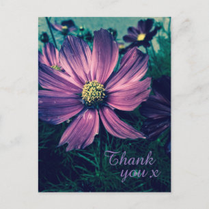 Cartão Postal Flores Elegantes Roxas Escuras Obrigado