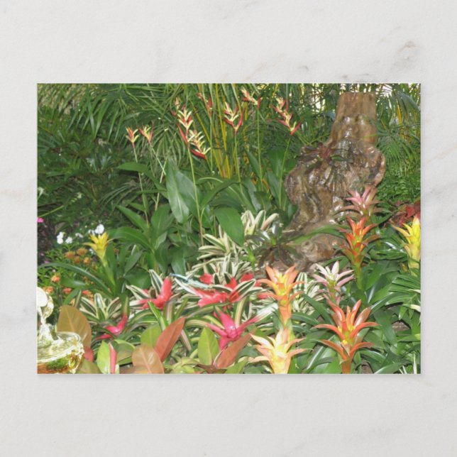 Cartão Postal Flores em Aibonito (Frente)