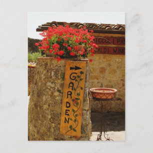 Cartão Postal Flores em um jardim, Monteriggioni, Siena