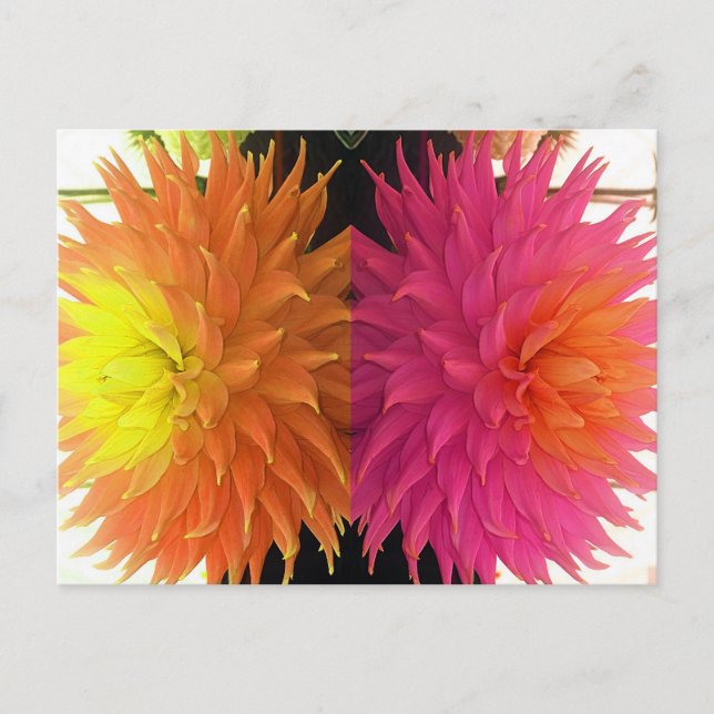 Cartão Postal Flores Funky Laranja Brilhante E Rosa Pintadas (Frente)