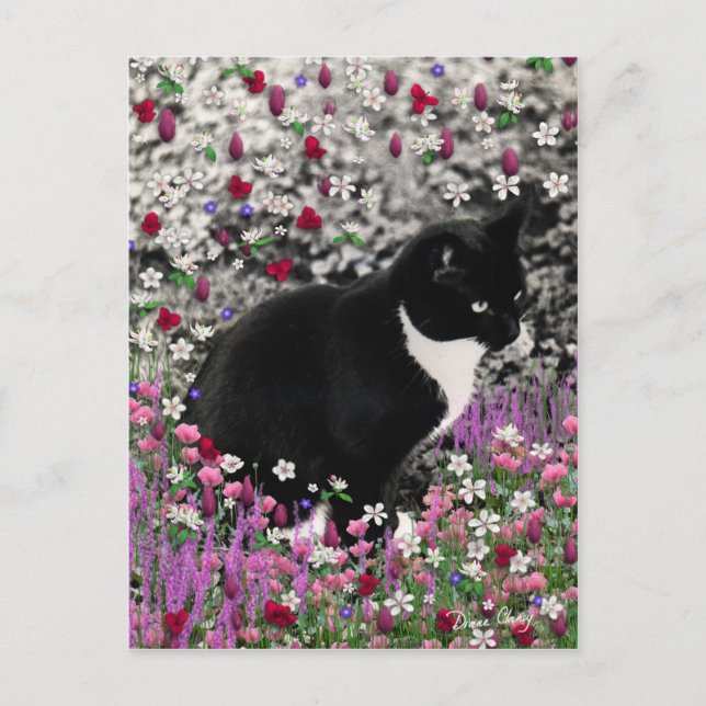 Cartão Postal Flores II - Gato Tuxedo (Frente)