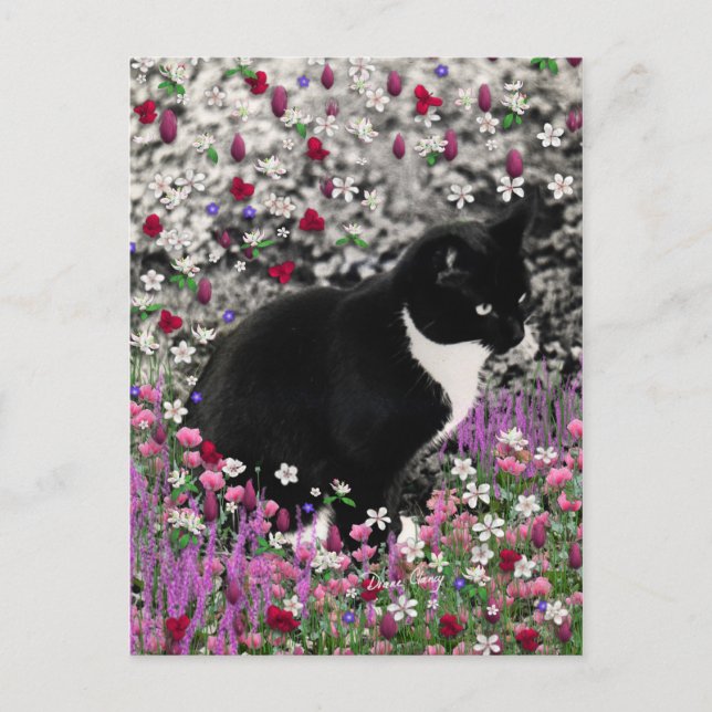 Cartão Postal Flores II - Gato Tuxedo Kitty (Frente)