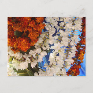 Cartão Postal Flores indígenas