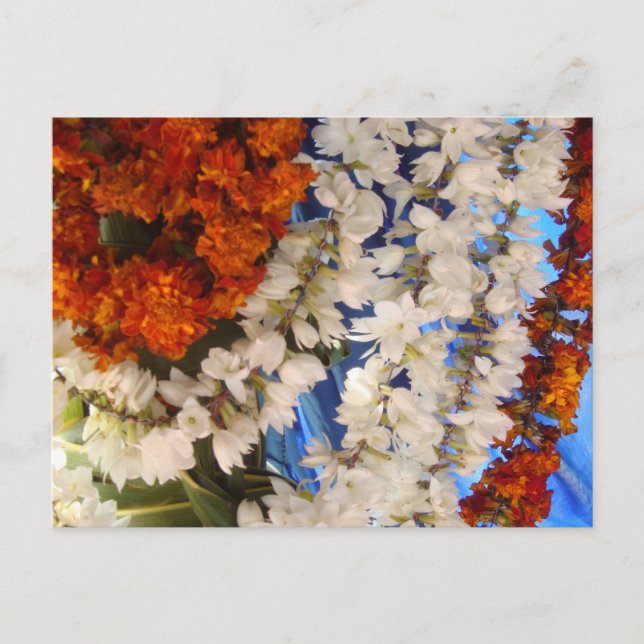 Cartão Postal Flores indígenas (Frente)