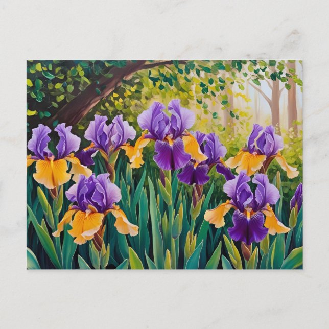 Cartão Postal Flores Iris Blooming no Jardim de Verão (Frente)