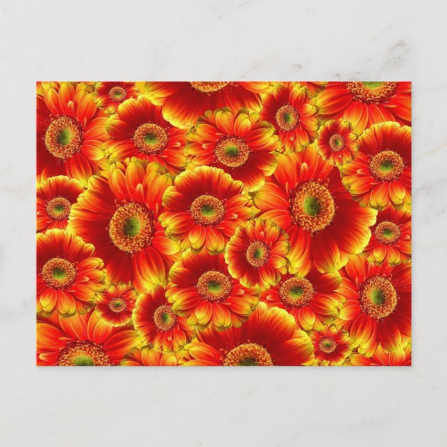 Cartão Postal Flores Laranja Brilhante (Frente)