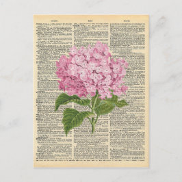 Cartão Postal Flores Liláticas Rosa Suaves de Arte do Dicionário