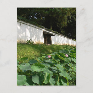 Cartão Postal Flores lótus no templo moat