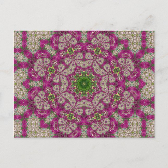 Cartão Postal Flores Magenta Lace Mandala (Frente)
