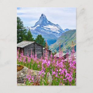 Cartão Postal Flores   Matterhorn de verão Suíça
