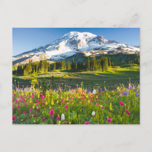 Cartão Postal Flores Mt. Rainier Wildflower