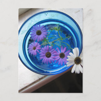 Cartão Postal Flores na Piscina Azul