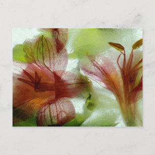 Cartão Postal Flores no gelo