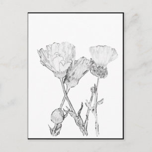 Cartão postal - Flores para Colorir