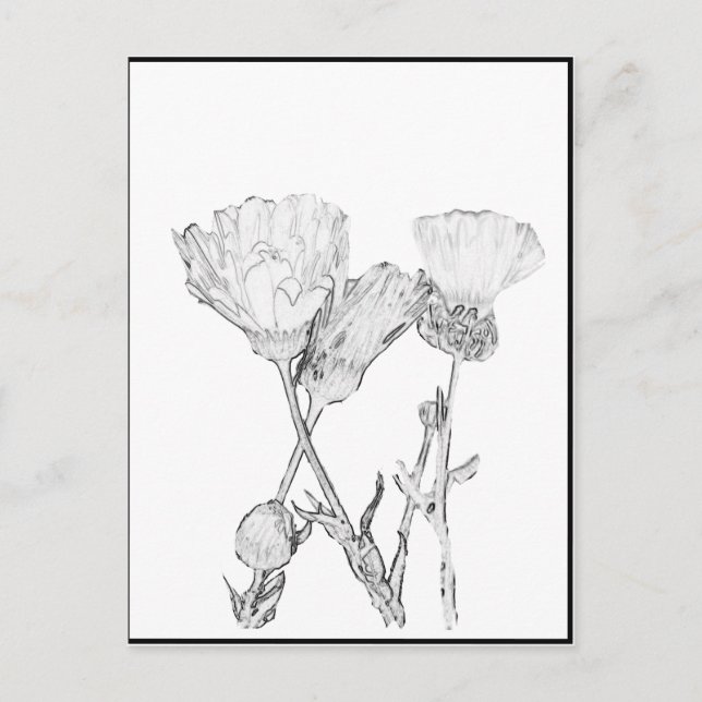 Cartão postal - Flores para Colorir (Frente)